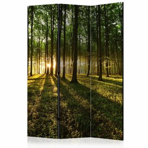 Vouwscherm / Kamerscherm - Ochtend in het bos 135x172cm , gemonteerd geleverd  dubbelzijdig geprint