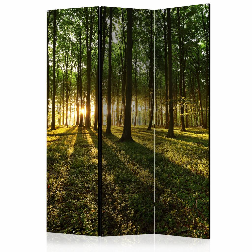Vouwscherm / Kamerscherm - Ochtend in het bos 135x172cm , gemonteerd geleverd dubbelzijdig geprint afbeelding