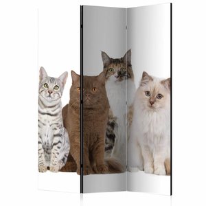 Vouwscherm / Kamerscherm - Lieve katten 135x172cm, gemonteerd geleverd, dubbelzijdig geprint