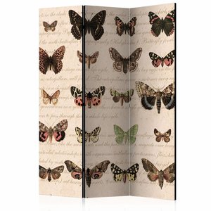 Vouwscherm / Kamerscherm - Vlinders in retro style 135x172 cm , gemonteerd geleverd  dubbelzijdig geprint