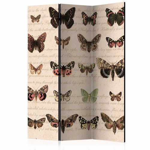 Vouwscherm / Kamerscherm - Vlinders in retro style 135x172 cm , gemonteerd geleverd  dubbelzijdig geprint
