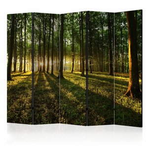 Vouwscherm / Kamerscherm - Ochtend in het bos 225x172cm  , gemonteerd geleverd, dubbelzijdig geprint Vouwscherm / Kamerscherm - Ochtend in het bos 225x172cm  , gemonteerd geleverd, dubbelzijdig geprint