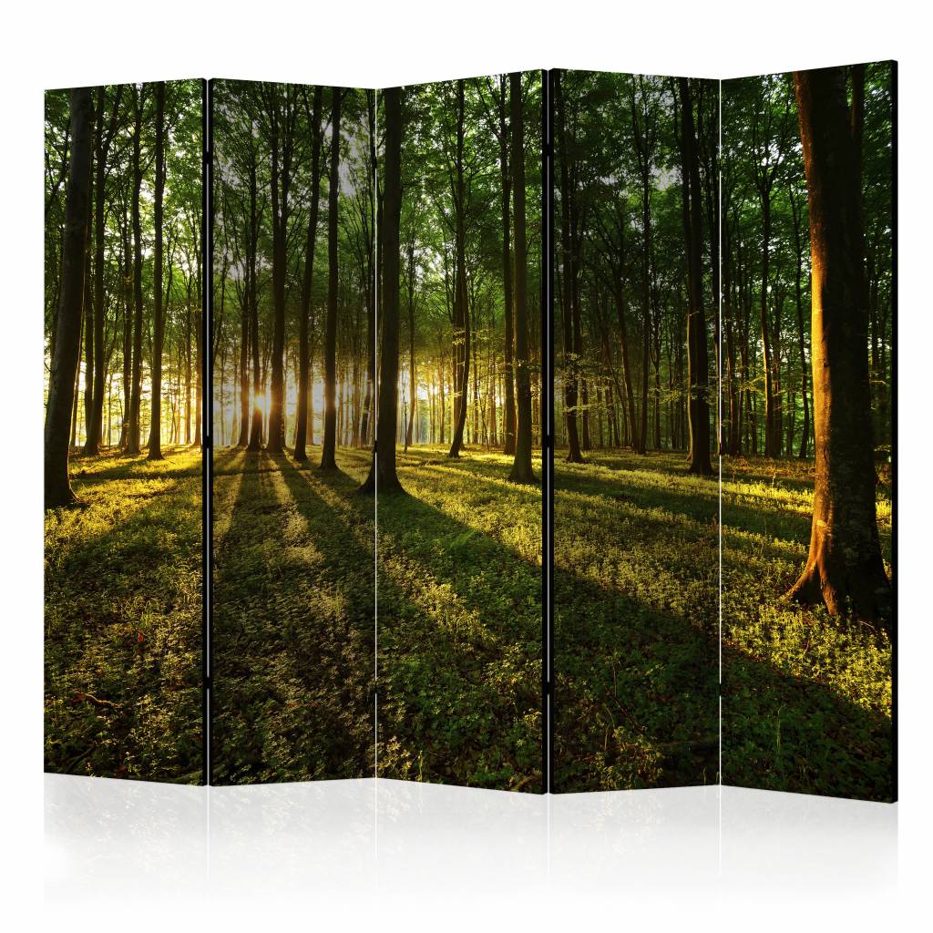 Vouwscherm - Ochtend in het bos 225x172cm , gemonteerd geleverd, dubbelzijdig geprint (kamerscherm)