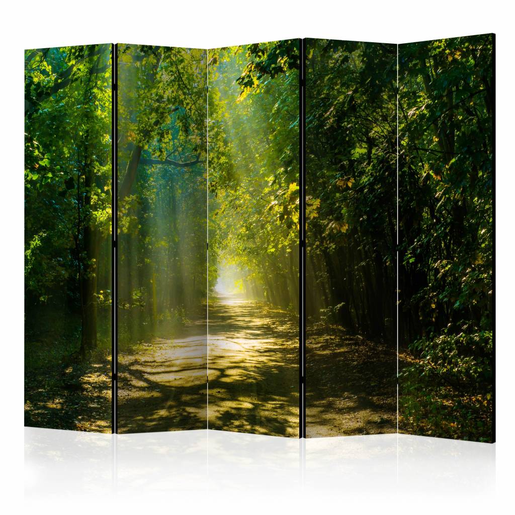 Vouwscherm / Kamerscherm - Zonlicht door de bomen, bos 225x172cm , gemonteerd geleverd, dubbelzijdig geprint afbeelding