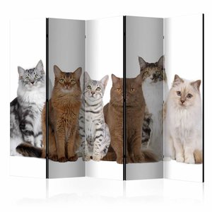 Vouwscherm / Kamerscherm - Lieve katten 225x172cm, gemonteerd geleverd, dubbelzijdig geprint