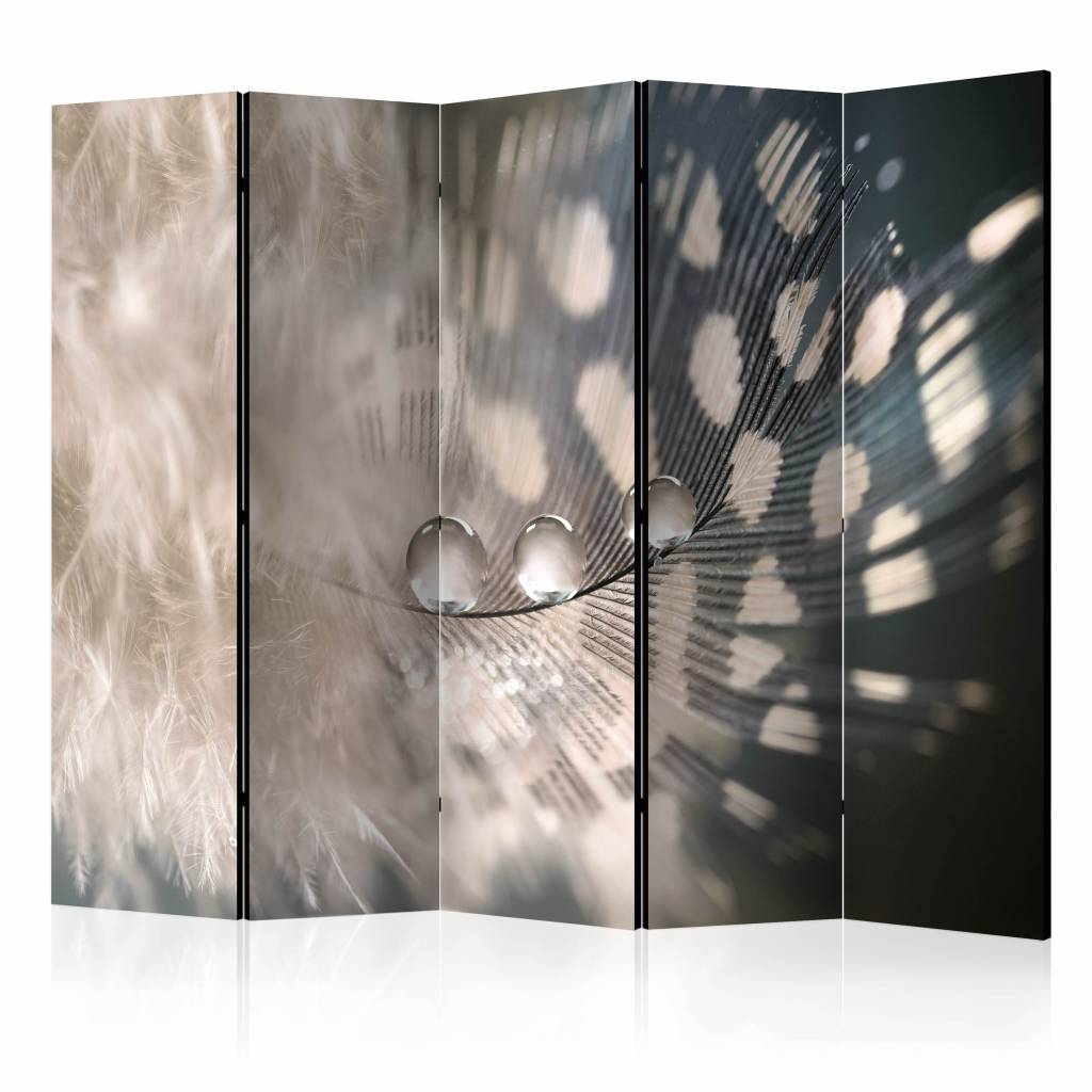 Vouwscherm / Kamerscherm - Elegante veer II 225x172cm , gemonteerd geleverd, dubbelzijdig geprint afbeelding