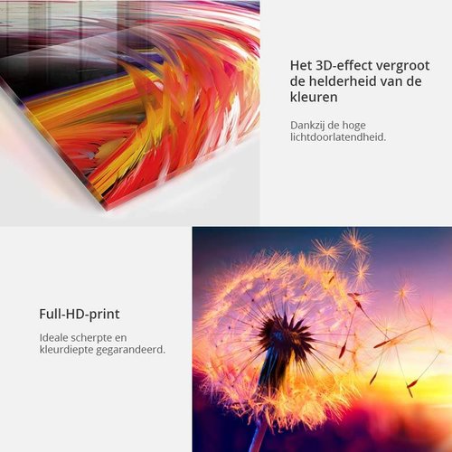 bol.com | Luxe Wanddecoratie - Fotokunst - Hoogste kwaliteit 3mm Plexiglas  met Dibond - 80 x 120...