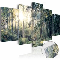 Afbeelding op acrylglas - Sprookjesbos, Groen, 2 Maten, 5luik Afbeelding op acrylglas - Sprookjesbos, Groen, 2 Maten, 5luik