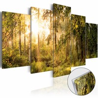 Afbeelding op acrylglas - Magische bos, Groen/Geel, 5luik Afbeelding op acrylglas - Magische bos, Groen/Geel, 5luik