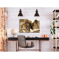 Doe-het-zelf op canvas schilderen - Lions In Love 60x40cm Doe-het-zelf op canvas schilderen - Lions In Love 60x40cm