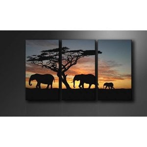 Schilderij - Olifant Afrika, Zwart/Oranje, 160X90cm , 3luik