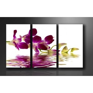 Schilderij - Orchidee, Paars, 160X90cm, 3luik Schilderij - Orchidee, Paars, 160X90cm, 3luik