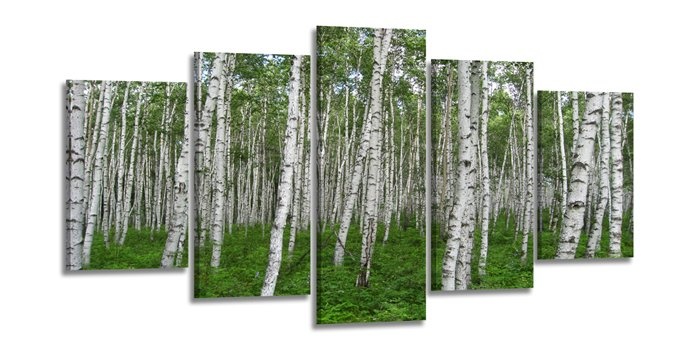 Schilderij - Berken, Groen, 200X100cm, 5luik afbeelding