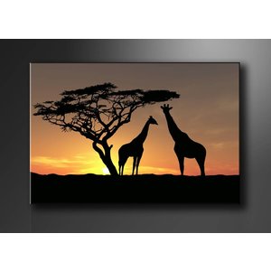 Schilderij - Afrika Giraffe, Oranje/Zwart, 80X60cm, 1luik