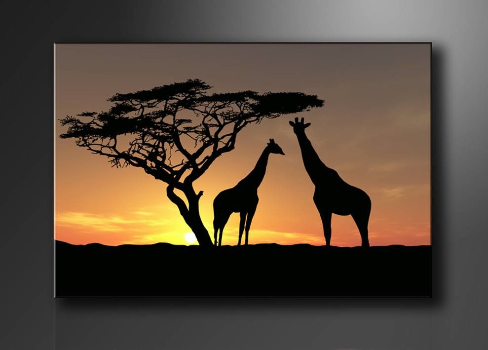 Schilderij - Afrika Giraffe, Oranje/Zwart, 80X60cm, 1luik afbeelding