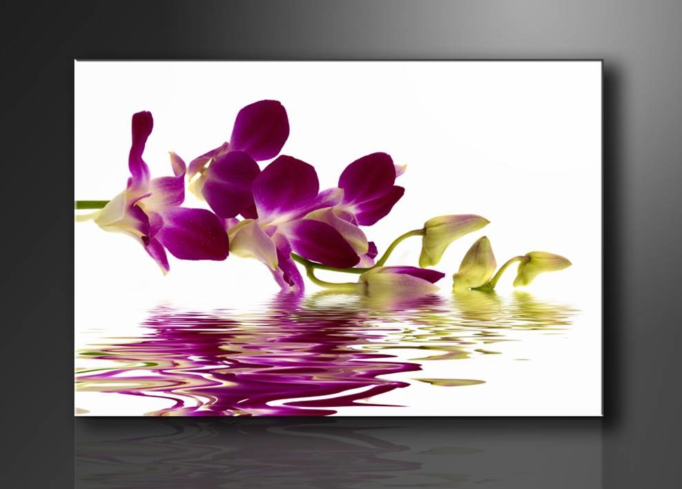 Schilderij - Orchidee, Paars/Wit, 80X60cm, 1luik afbeelding