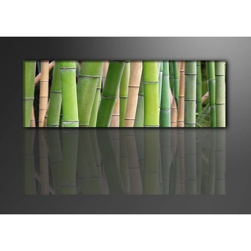 Schilderij - Bamboe, Groen, 120X40cm, 1luik