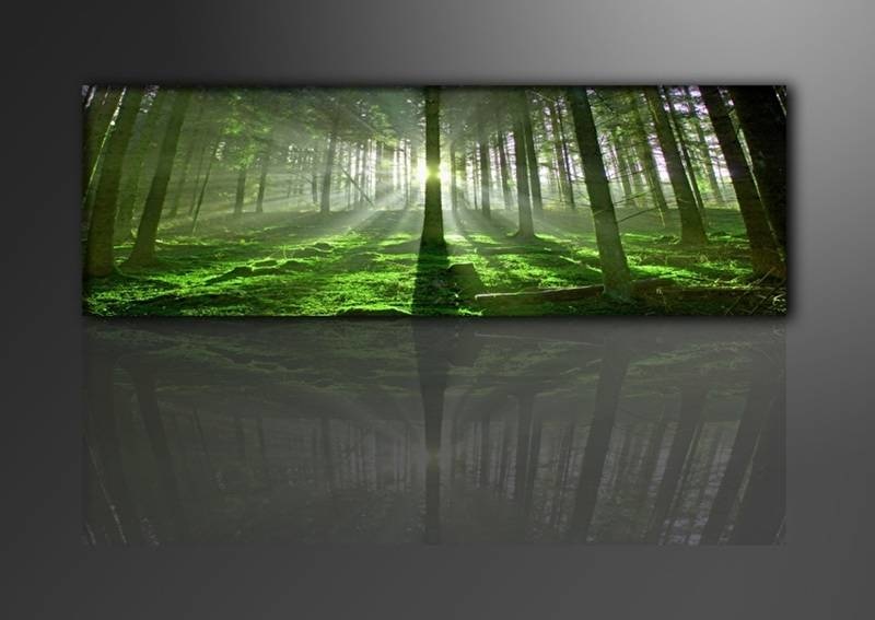 Schilderij - Bos, Groen, 120X40cm, 1luik afbeelding