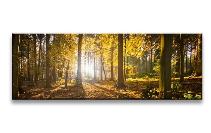 Schilderij - Bos, Bruin/Geel, 120X40cm, 1luik afbeelding