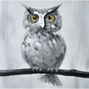 Schilderij - Handgeschilderd - Uil 80x80cm