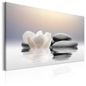 Schilderij -  Zen Waterlelie en Stenen