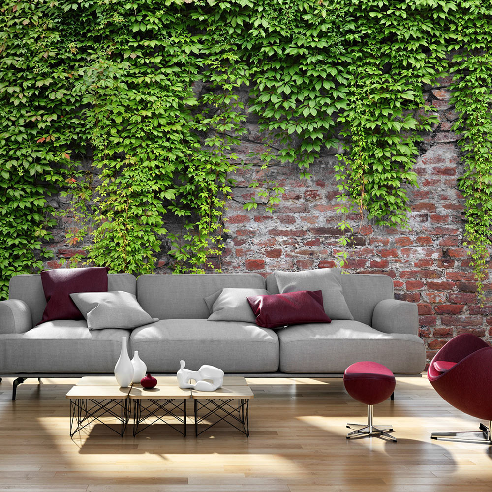 Fotobehang -Muur met klimop, premium print vliesbehang afbeelding