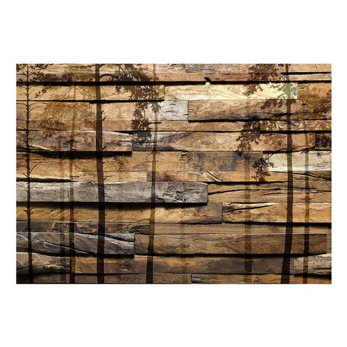 Fotobehang - Schaduw van bomen, premium print vliesbehang