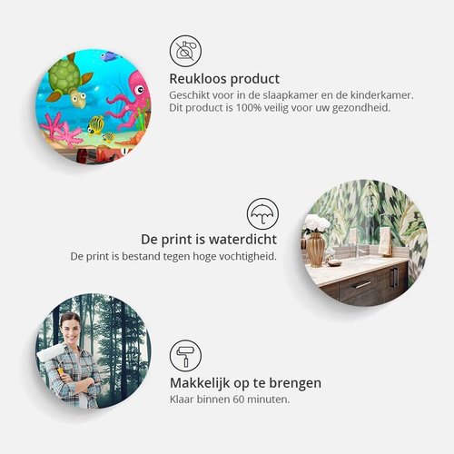 Fotobehang - Kleurrijke Kolibries op Groene achtergrond, premium print vliesbehang Fotobehang - Kleurrijke Kolibries op Groene achtergrond, premium print vliesbehang