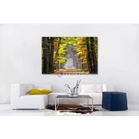 Karo-art Schilderij - Ochtendwandeling in het bos , 2 maten , Groen bruin , Premium print , Canvas, Wanddecoratie, natuur, Wandeling door het bos