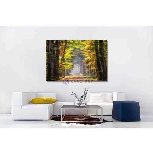 Karo-art Schilderij - Ochtendwandeling in het bos , 2 maten , Groen bruin , Premium print , Canvas, Wanddecoratie, natuur, Wandeling door het bos