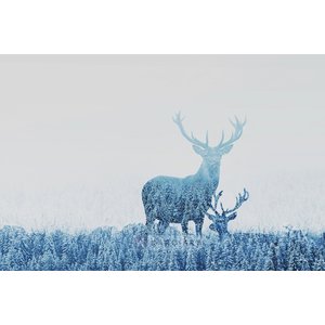 Karo-art Schilderij - Herten opgenomen door het bos , Blauw wit , 2 maten , Premium print