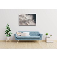 Karo-art Schilderij - Paardenbloem in de wind , Zwart wit , 2 maten , Wanddecoratie