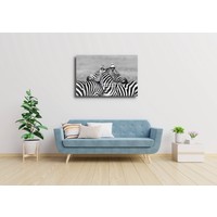 Karo-art Schilderij - Zebra liefde in zwart wit , 2 maten , Premium print