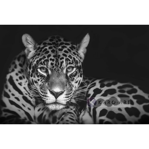 Karo-art Schilderij - Jaguar in zwart en wit, premium print, 2 maten , Wanddecoratie