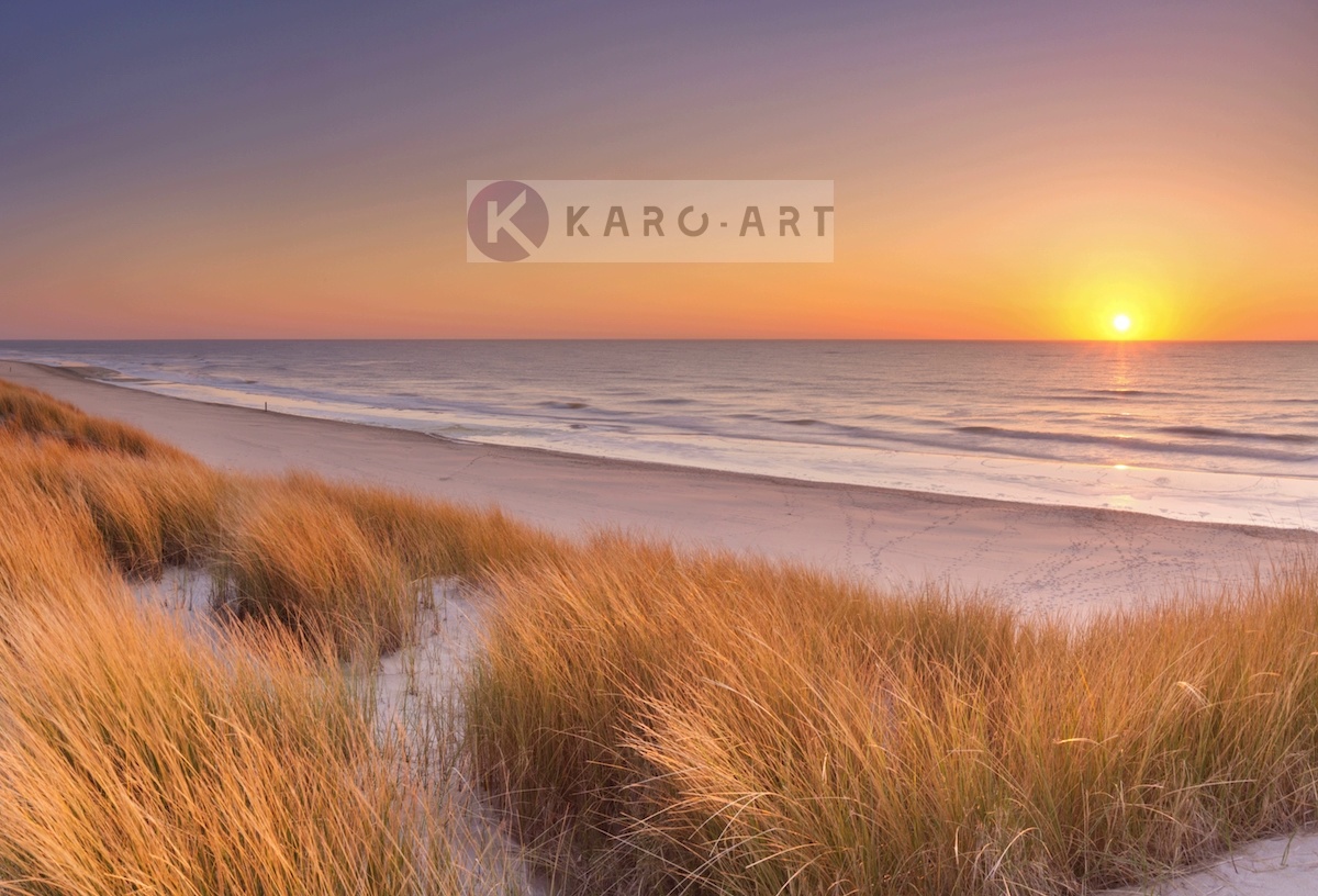 Afbeelding op acrylglas - Duinen en strand bij zonsondergang op Texel afbeelding