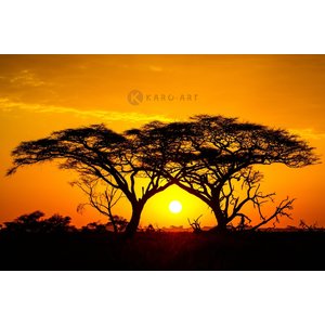 Karo-art Afbeelding op acrylglas - Zonsondergang in Afrika