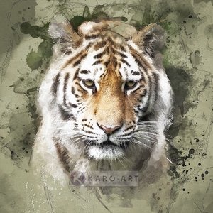 Karo-art Afbeelding op acrylglas - Siberische tijger portret