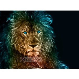 Karo-art Afbeelding op acrylglas - Leeuw in kleuren