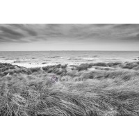 Karo-art Afbeelding op acrylglas - De Noordzee en duinen in zwart en wit