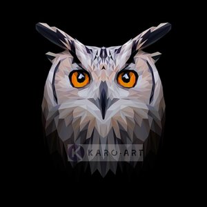 Karo-art Schilderij - Uil, digitaal , Zwart beige oranje , 3 maten , Premium print