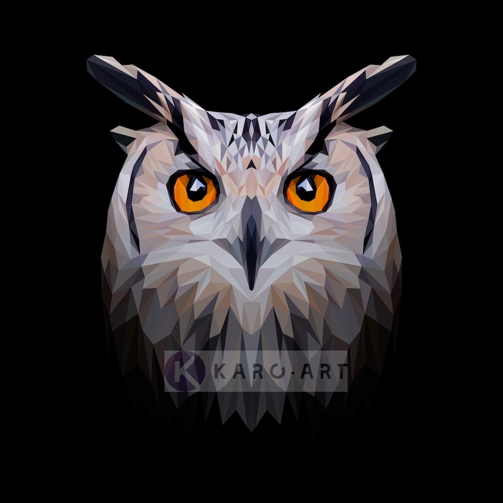 Schilderij - Uil, digitaal , Zwart beige oranje , 3 maten , Premium print afbeelding