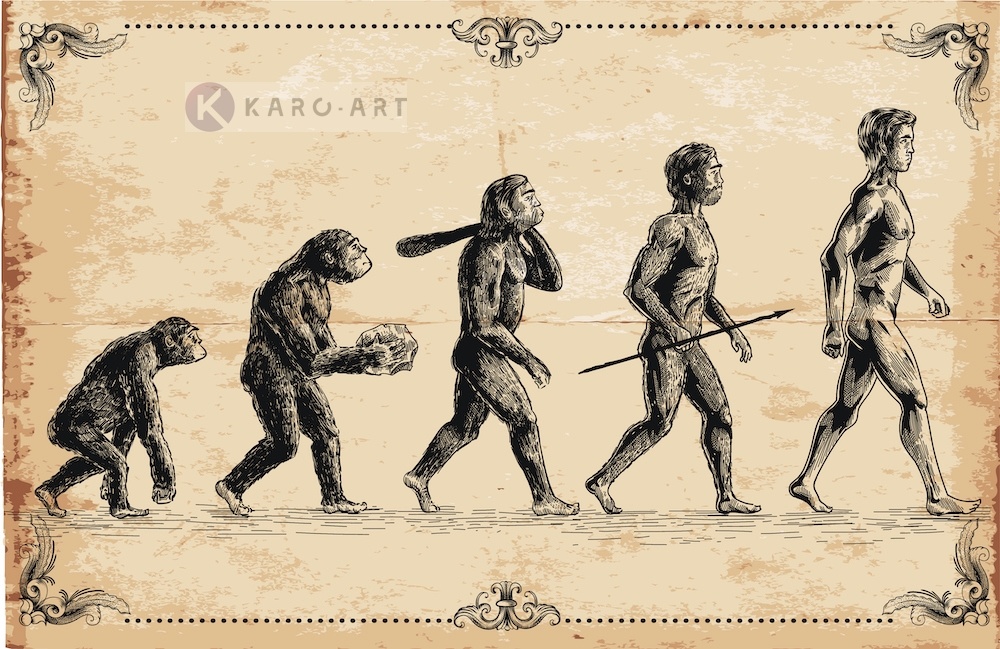 Schilderij - Concept van de evolutie afbeelding