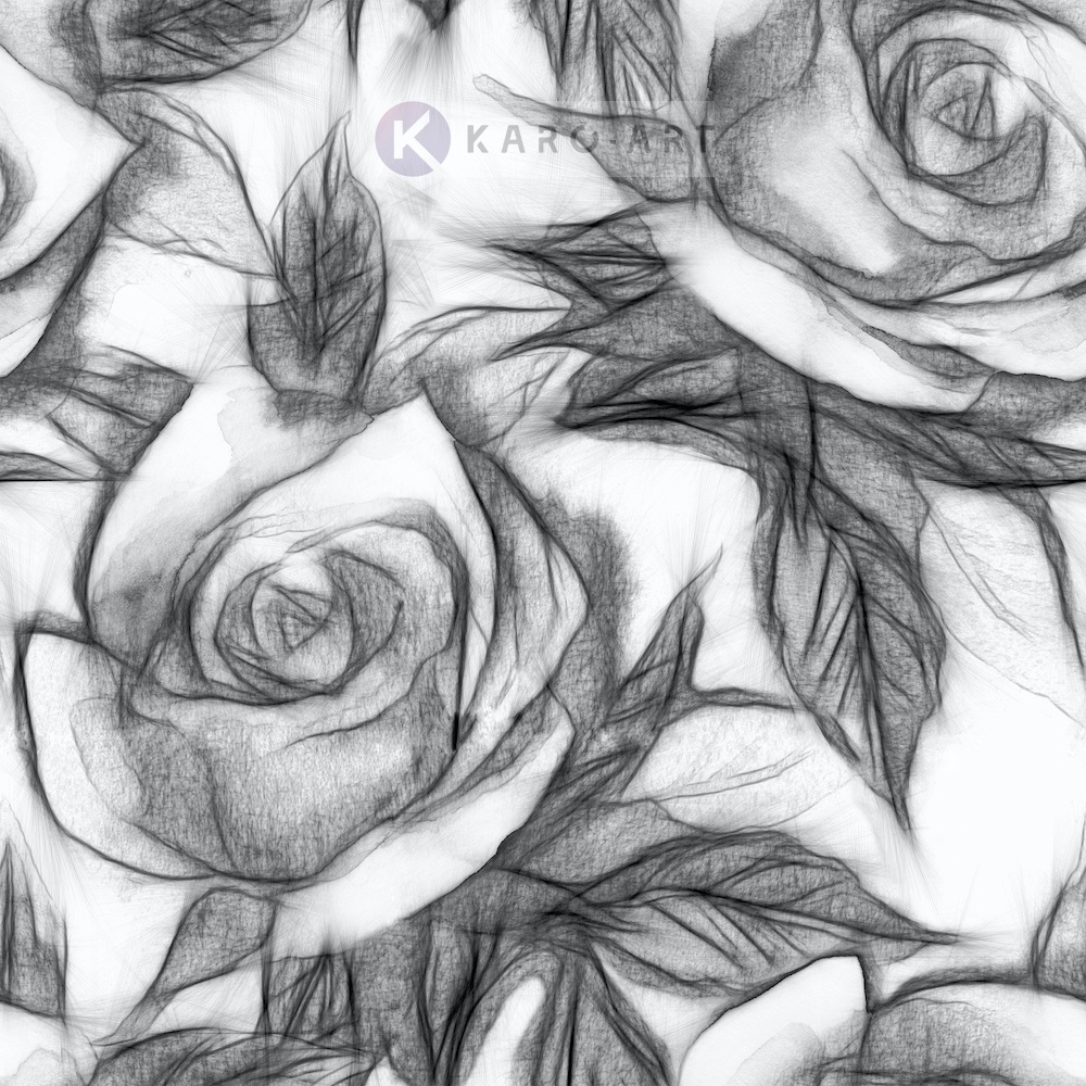 Afbeelding op acrylglas - Bloemmotief met rozen, Zwart wit , 3 maten , Wanddecoratie afbeelding