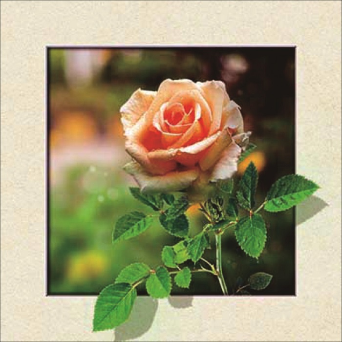 Schilderij - Roos 3D Look, 30x40 afbeelding