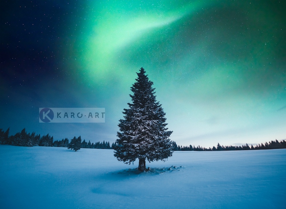 Schilderij - Noorder licht Kerstboom , Blauw groen , 3 Maten , Wanddecoratie afbeelding