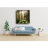 Karo-art Schilderij - Naaldhouten bos ,Groen bruin wit , 3 maten , Premium print