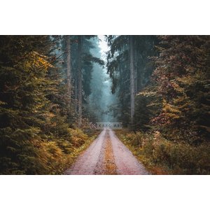 Karo-art Afbeelding op acrylglas - Weg in het Bos, Multikleur , 3 maten , Premium print Karo-art Afbeelding op acrylglas - Weg in het Bos, Multikleur , 3 maten , Premium print