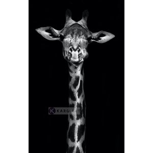 Karo-art Afbeelding op acrylglas - Giraf Karo-art Afbeelding op acrylglas - Giraf