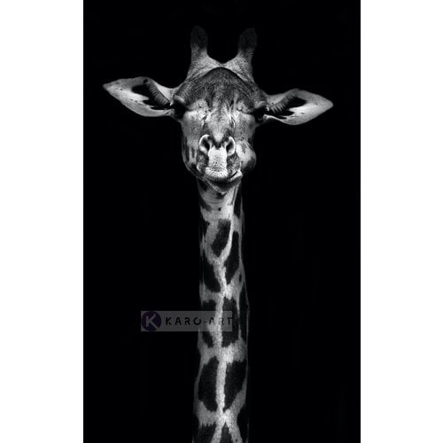 Karo-art Afbeelding op acrylglas - Giraf