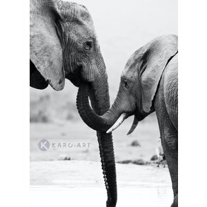 Karo-art Afbeelding op acrylglas - Olifant met kind Karo-art Afbeelding op acrylglas - Olifant met kind